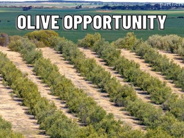 Property for sale in Karte, South Australia