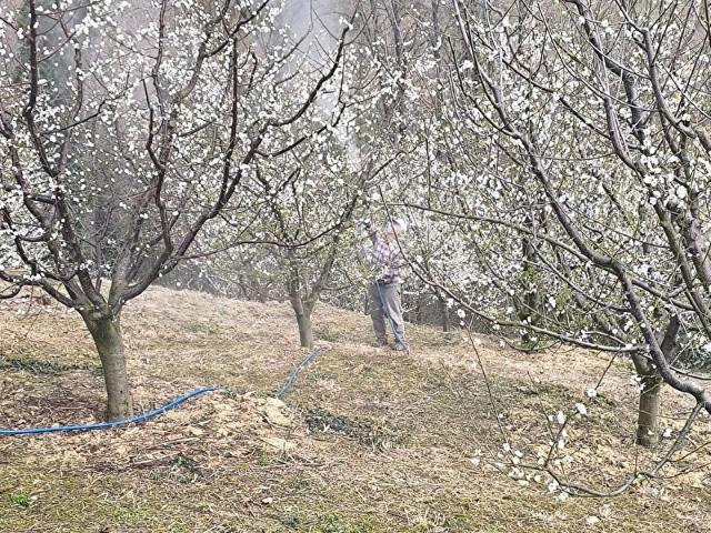 Kartepe, Kocaeli içerisinde satılık mülk