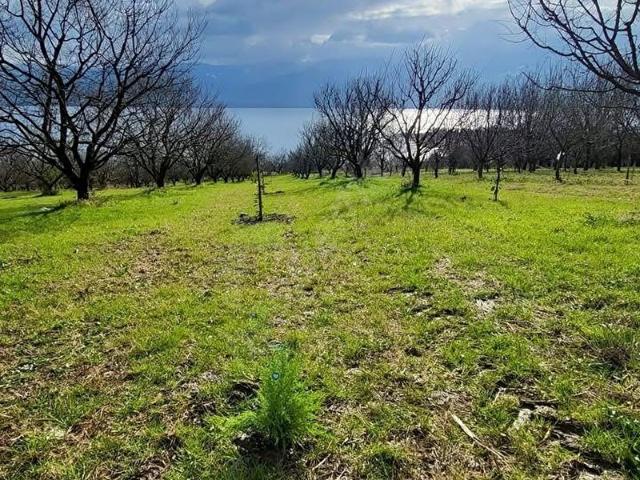 Serdivan, Sakarya içerisinde satılık Arsa