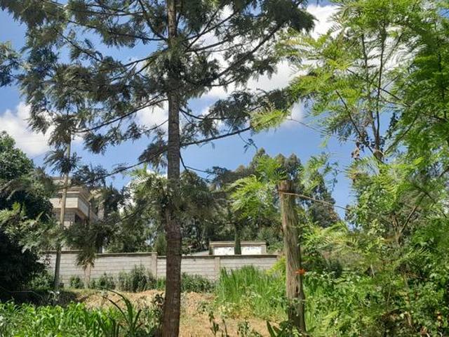 Land for sale in Kiambaa, Banana Hill