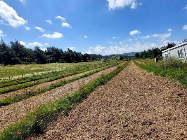 Sariçam, Adana içerisinde satılık Arsa