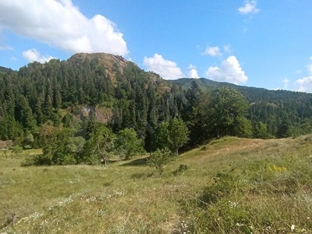 Azdavay, Kastamonu içerisinde satılık Arsa