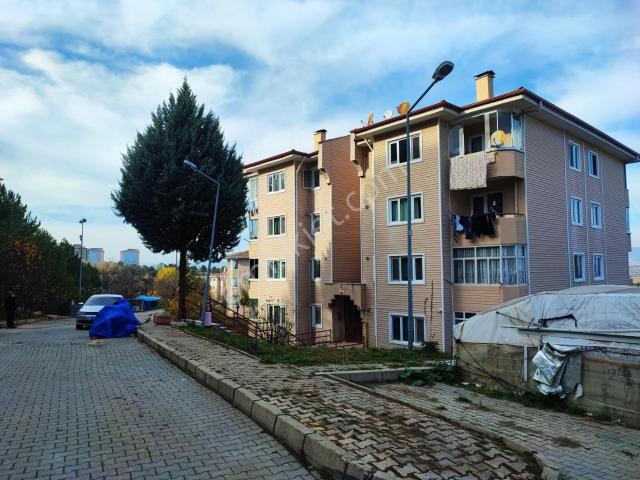 Kastamonu Merkez, Kastamonu içerisinde kiralık mülk