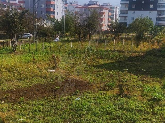 İlkadim, Samsun içerisinde satılık Arsa
