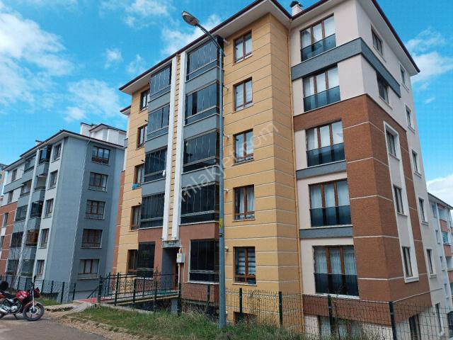 Kastamonu Merkez, Kastamonu içerisinde kiralık mülk