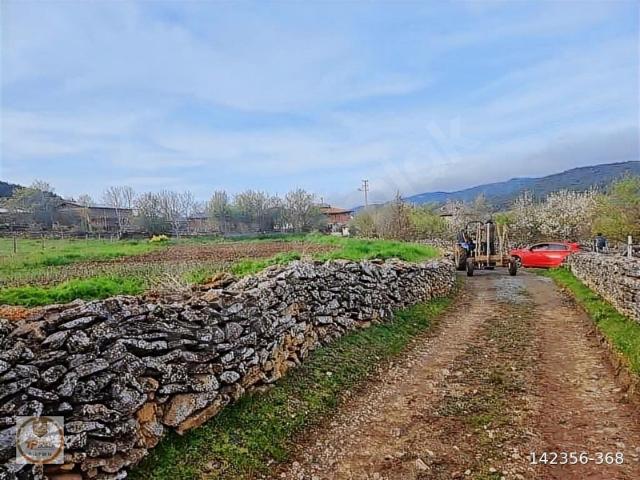 Daday, Kastamonu içerisinde satılık Arsa