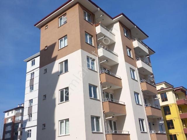 Kastamonu Merkez, Kastamonu içerisinde kiralık mülk