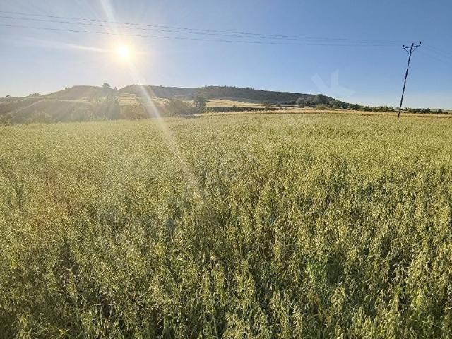 Kastamonu Merkez, Kastamonu içerisinde satılık Arsa