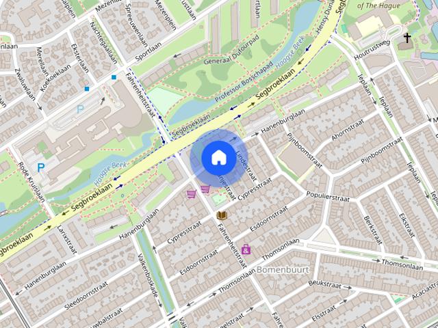Appartement te huur in Bomenbuurt, Den Haag