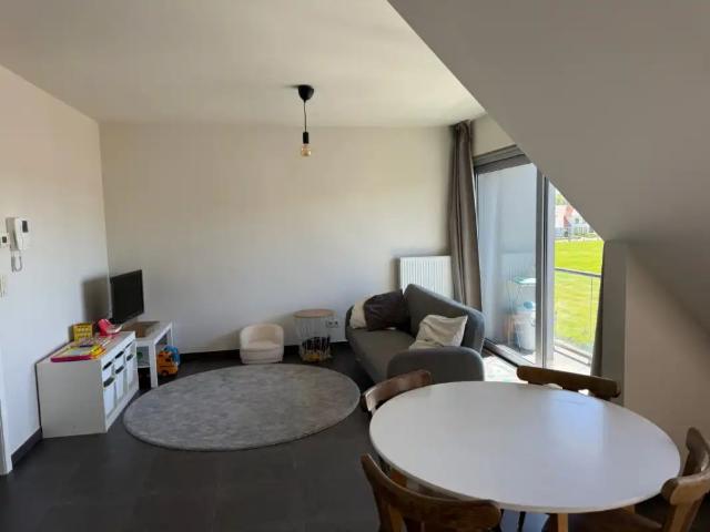 Appartement location à Buggenhout, Oost-Vlaanderen