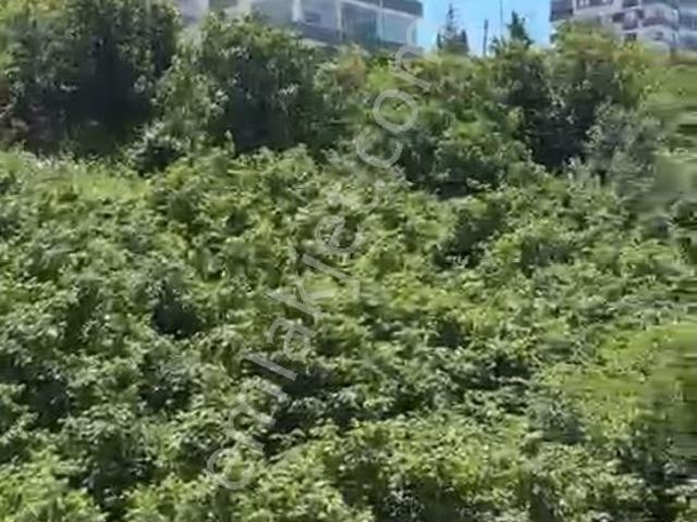 Yomra, Trabzon içerisinde satılık mülk