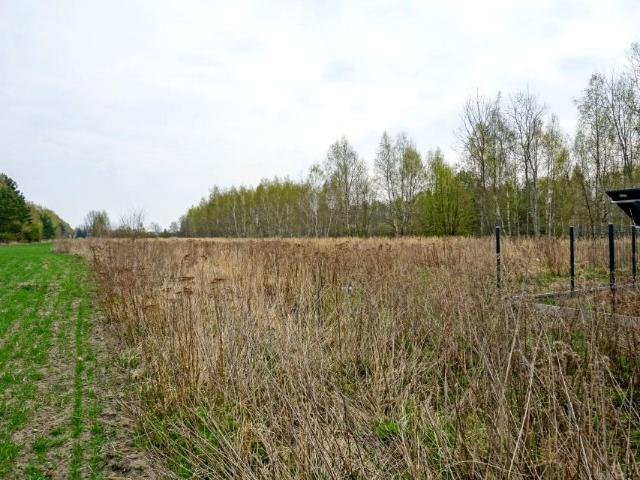 Grunt na sprzedaż w Skierniewice, Łódzkie