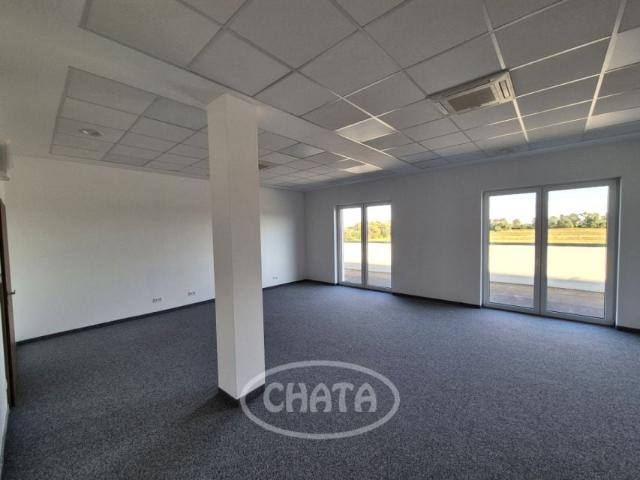 Mieszkanie do wynajęcia w Radwanice, Dolnośląskie