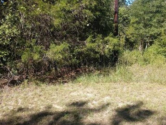 Land for sale in Henderson, Texas