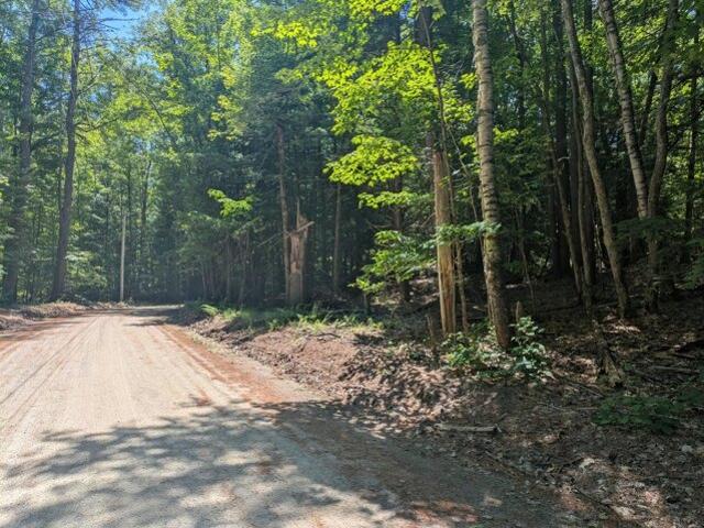 Land for sale in Limerick, Maine