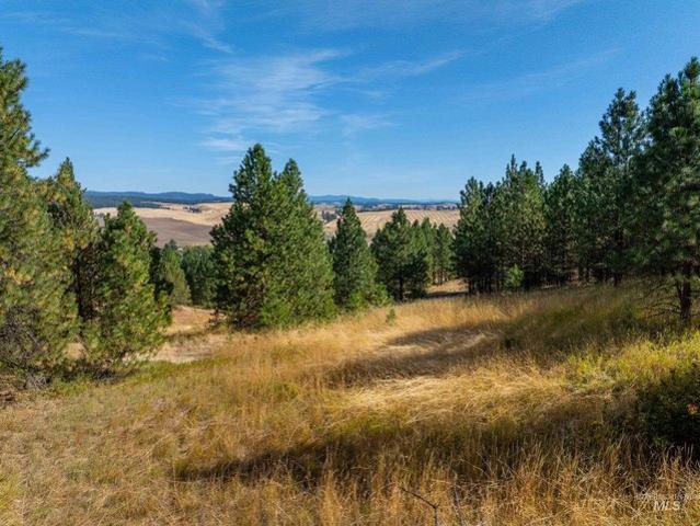 Land for sale in Moscow, Idaho