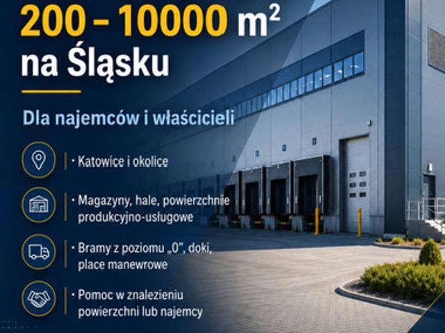 Komercyjne do wynajęcia w Katowice, Śląskie