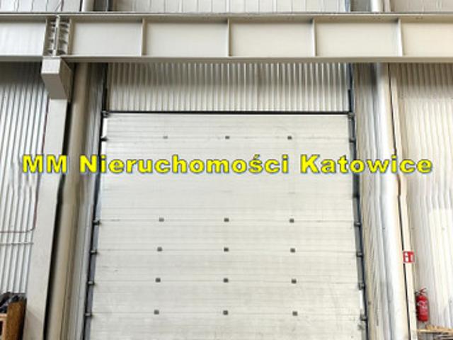 Komercyjne do wynajęcia w Katowice, Śląskie
