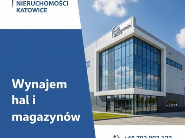 Komercyjne do wynajęcia w Katowice, Śląskie