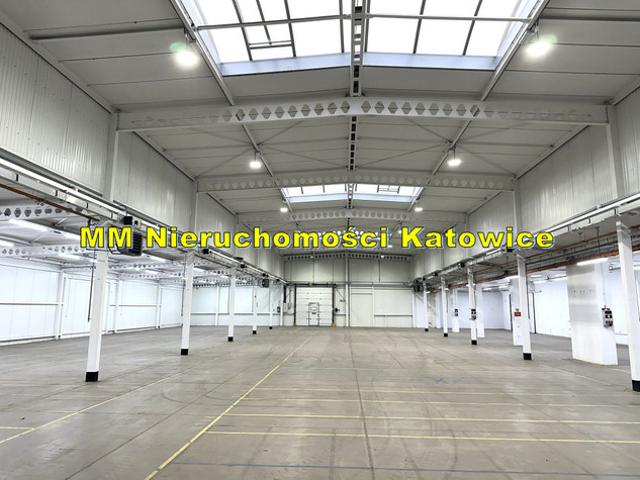 Komercyjne do wynajęcia w Katowice, Śląskie
