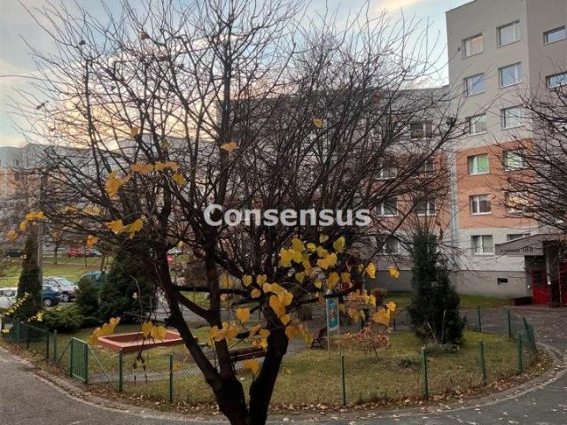 Dom do wynajęcia w Katowice, Śląskie