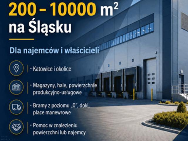Komercyjne do wynajęcia w Katowice, Śląskie