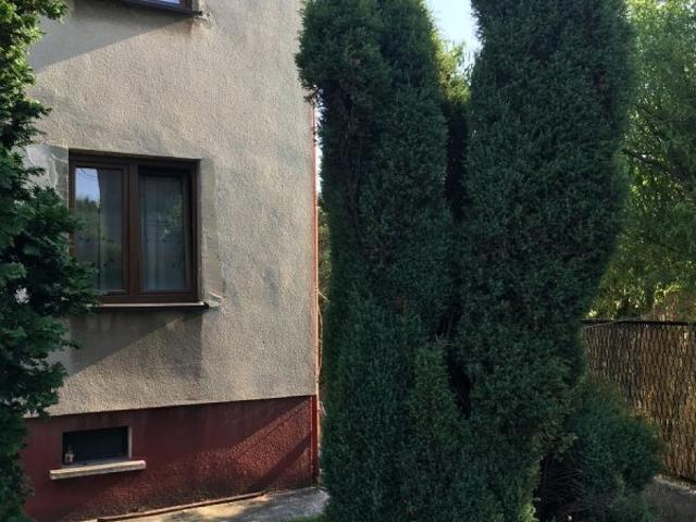 Dom do wynajęcia w Katowice, Śląskie