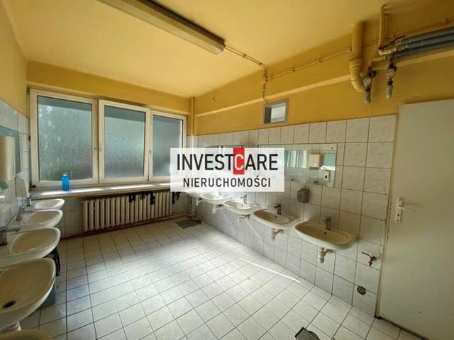Komercyjne do wynajęcia w Katowice, Śląskie