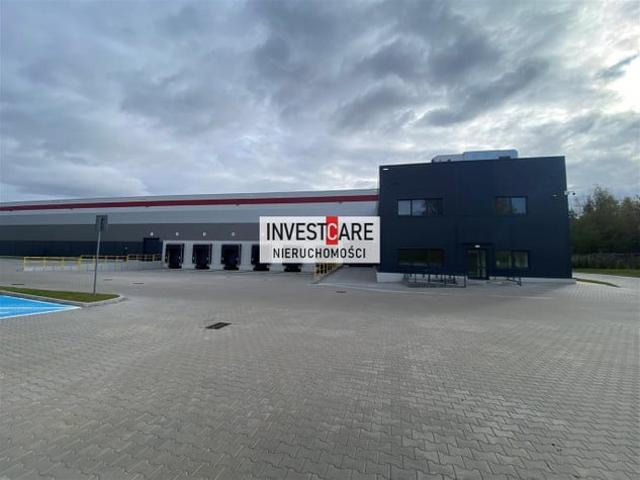 Komercyjne do wynajęcia w Katowice, Śląskie