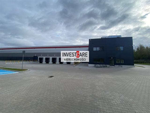 Komercyjne do wynajęcia w Katowice, Śląskie