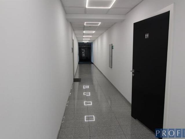 Komercyjne do wynajęcia w Katowice, Śląskie