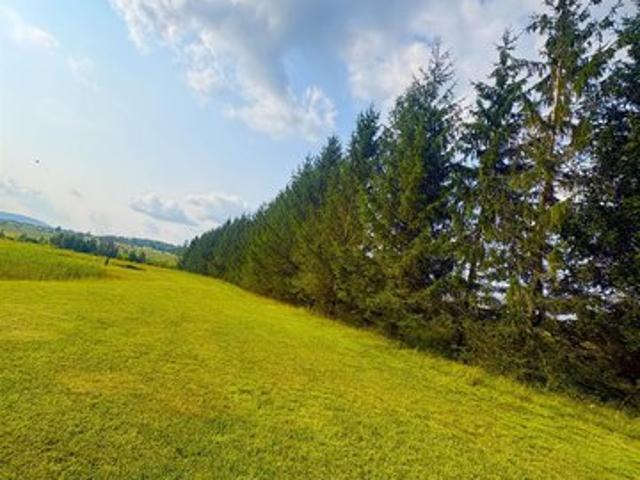 Land for sale in Davis, West Virginia