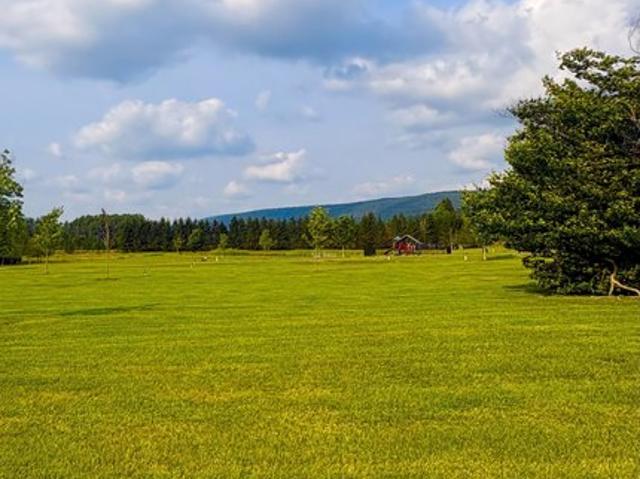 Land for sale in Davis, West Virginia