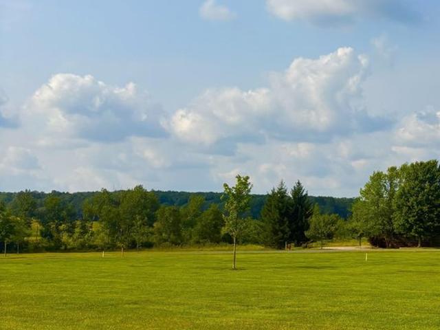 Land for sale in Davis, West Virginia