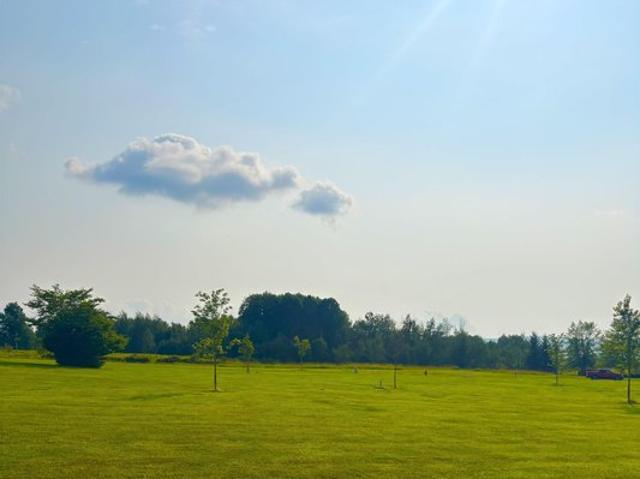 Land for sale in Davis, West Virginia
