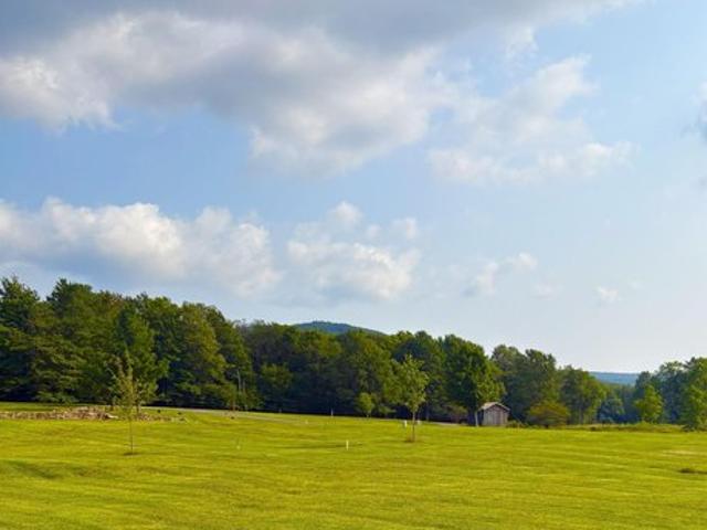 Land for sale in Davis, West Virginia