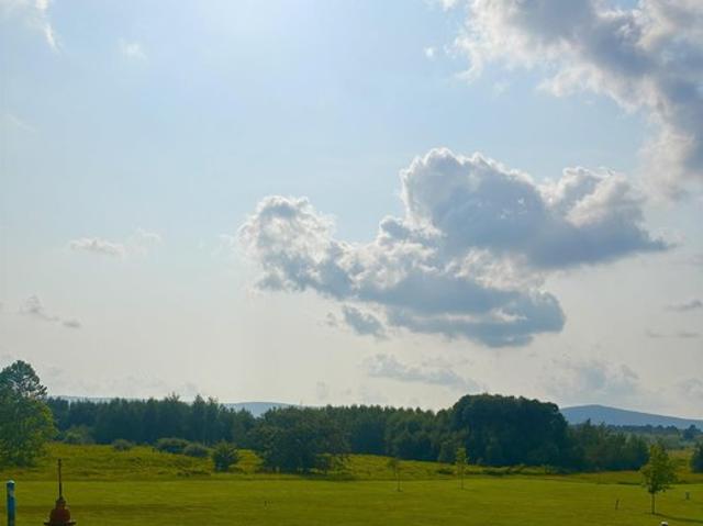 Land for sale in Davis, West Virginia