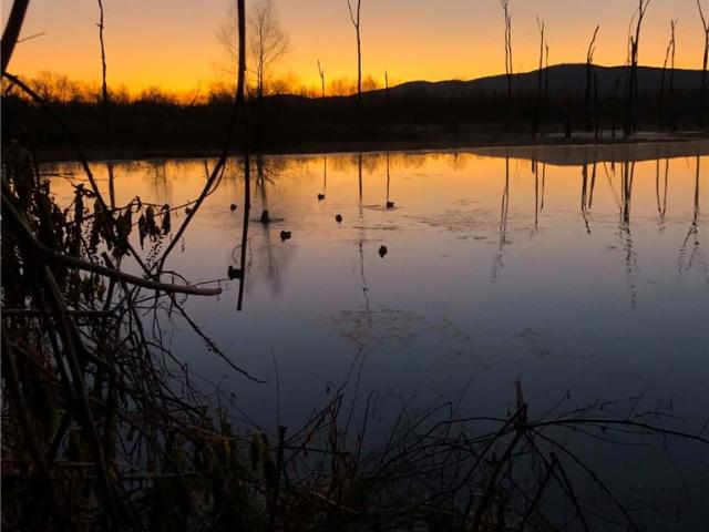Land for sale in Ark