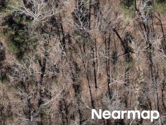 Land for sale in Hillsboro