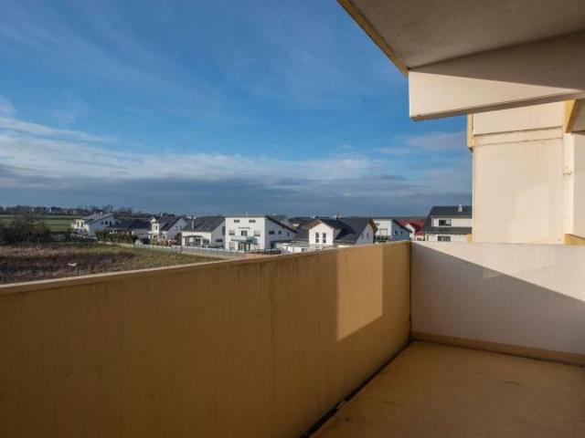 Wohnung kaufen in Linden, Rheinland-Pfalz