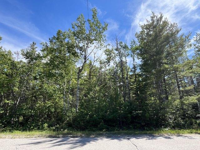 Land for sale in Presque Isle, Michigan