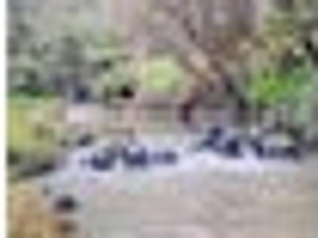 House for rent in Kawau Island, Oroua County