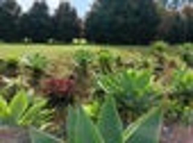 House for rent in Whangarei, Northland