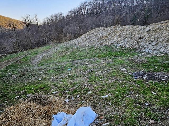 Karacaarslan, Kavak içerisinde satılık Arsa