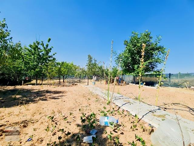 Altindağ, Ankara içerisinde satılık Arsa