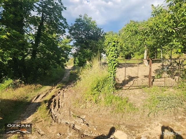 Kavaklidere, Muğla içerisinde satılık mülk