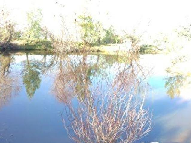 Kavaklidere, Muğla içerisinde satılık Arsa