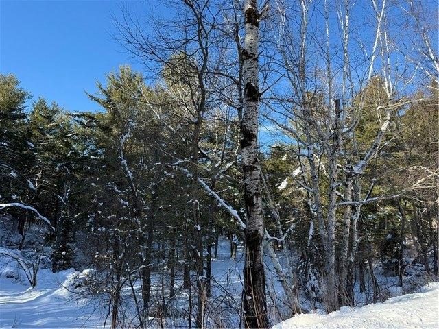 Land for sale in Cable, Wisconsin