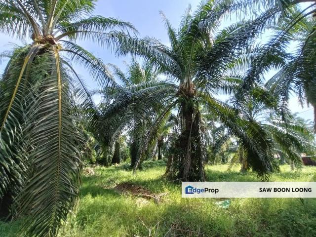 Warehouse for sale in Mukim 16, Tena
