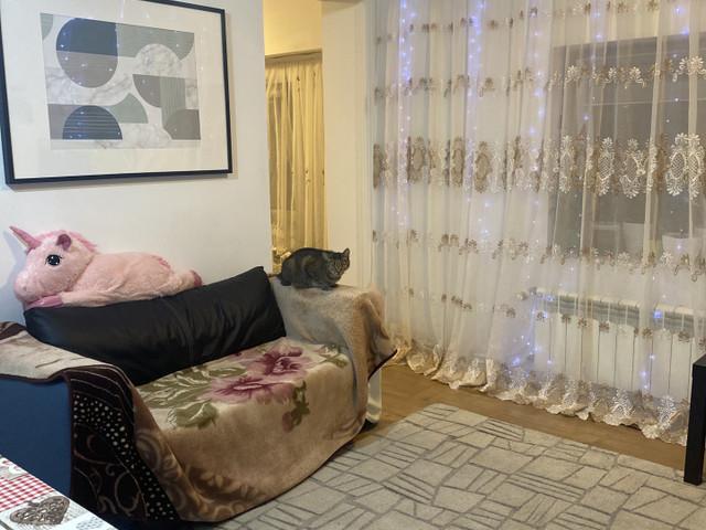 Mieszkanie do wynajęcia w Gliwice, Śląskie